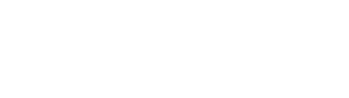 eder holding logo